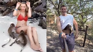 Funniest Monkeys | Cute And Funny Monkey Videos Compilation | 2020