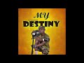 Patapaa My Destiny Ft Guy Cemetery Audio Slide mp3
