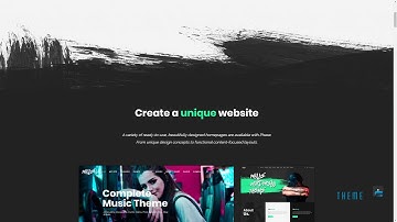 Phase - A Complete Music WordPress Theme for Record Labels and Artist