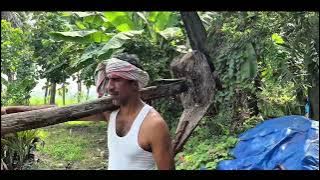 NAKILI based on true events || new Shortfilm || by Ramesh narlapati || TEASER || Durgarao channel ||