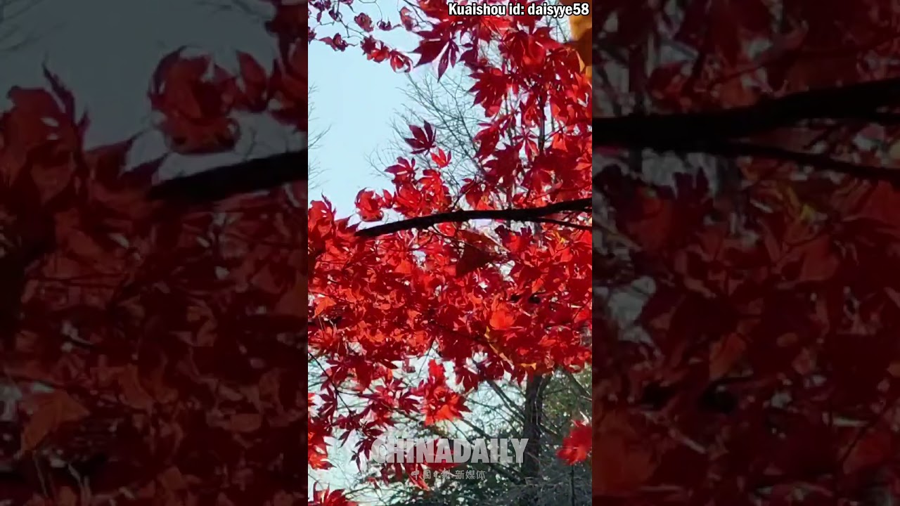 Autumn splendor at Tianping Mountain in Suzhou