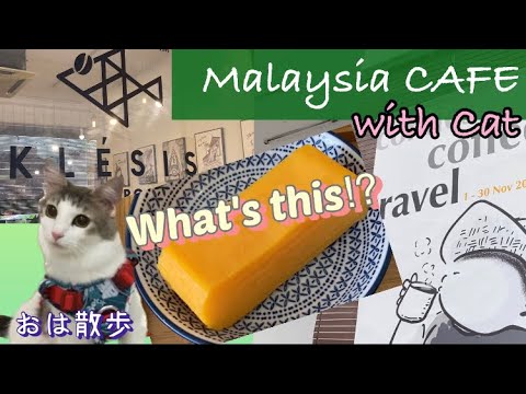 【KLÉSIS café】お洒落なのに"Bento" が食べられるカフェ【Malaysia Cafe巡り】 #KualalumpurCafe #猫と海外移住 #マレーシア生活