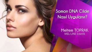 Somon DNA Cilde Nasıl Uygulanır?