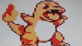 Como obtener a Charmander en pokemon amarillo? Sencillo.