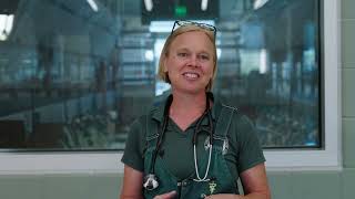 MSU's New Dairy Advances Learning and Animal Welfare