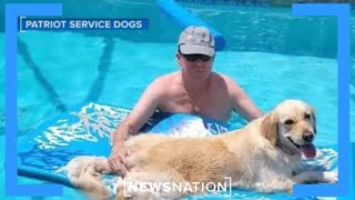 Patriot Service Dogs links veterans with pups | Morning in America