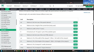 Web Programming - Unit 11 - Lecture/Demo - Advanced CSS and Transitions - Fall 2025