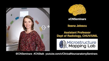 #CNStalk - Ileana Jelescu: New microstructure & functional MRI techniques in neuropsychiaty