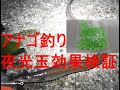 【釣り動画】夜光玉の効果を検証してみた