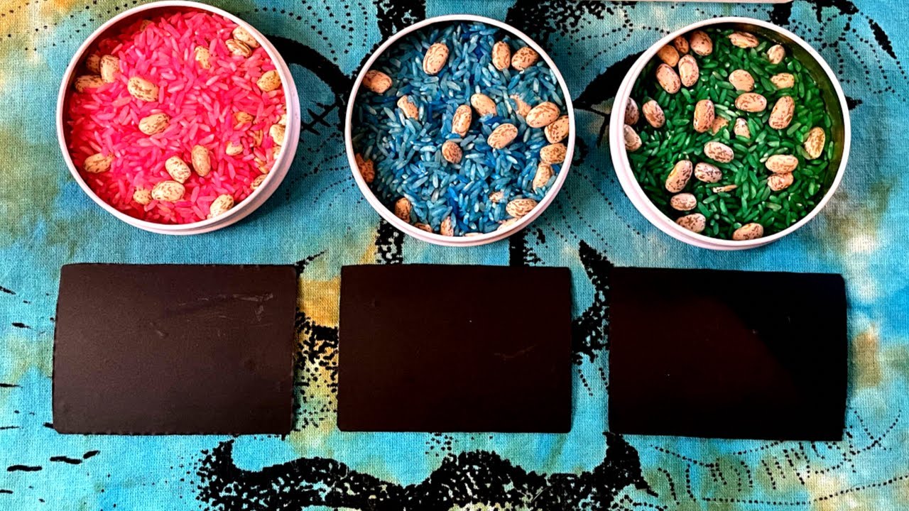 ❤️Pick A Card❤️Rice Reading 🍚Who Is Coming Into Your Life??? Tarot Reading