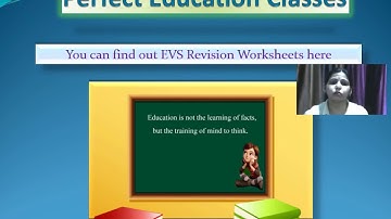EVS Revision Worksheet "Special People" for Class 3 By- RACHANA Ma