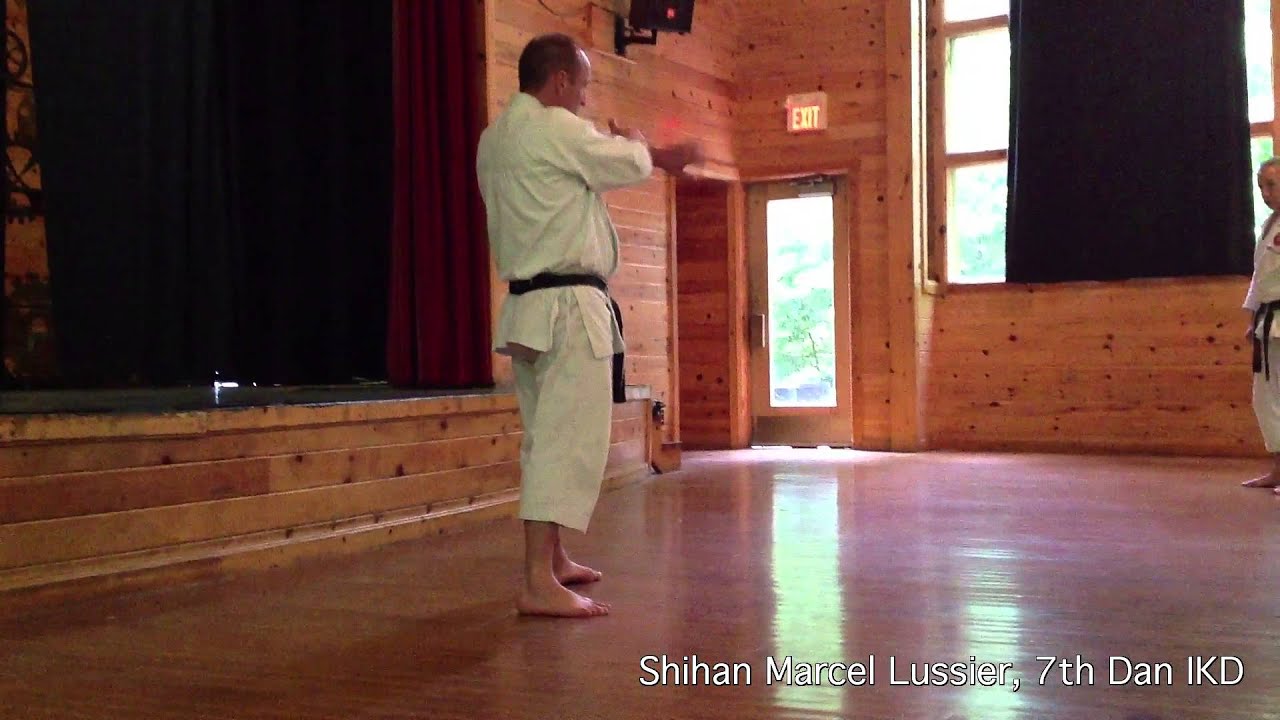 Teaching Ippon Kumite: Basic | IKD Kensushei Instructor Training | Shihan Marcel Lussier 7th Dan IKD