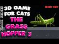 3D game for cats | CATCH THE GRASSHOPPER (front view) | 4K, 60 fps, stereo sound