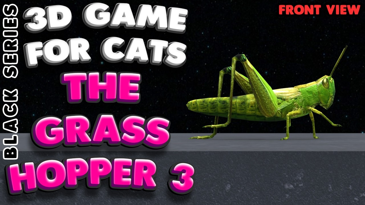 3D game for cats | CATCH THE GRASSHOPPER (front view) | 4K, 60 fps, stereo sound