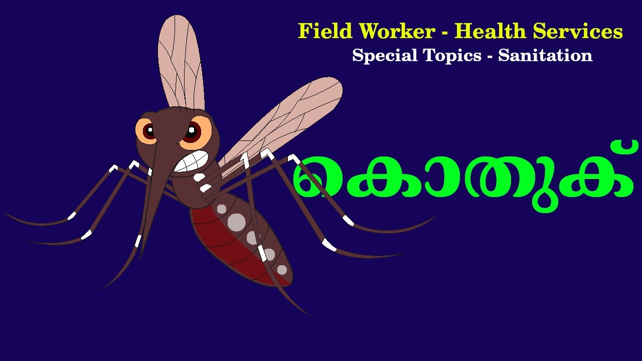 കൊതുകിനെ പറ്റി അറിയാനുള്ളത് | Field Worker-Health Services | Special Topics| Sanitation | Mosquito |