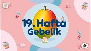 19. Hafta: Anneciğim, İnanılmaz Gelişiyorum 🥰