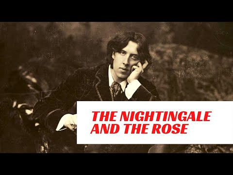 أوسكار وايلد العندليب والوردة قصة قصيرة