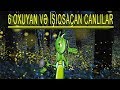 6 Oxuyan və İşıqsaçan Canlılar