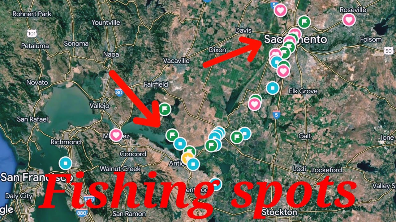 Дельта Калифорнии|Места для рыбалки на реке Сакраменто