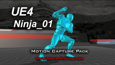 Ninja 01 for UE4 - Motion Capture Animation Pack