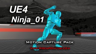 Ninja 01 for UE4 - Motion Capture Animation Pack