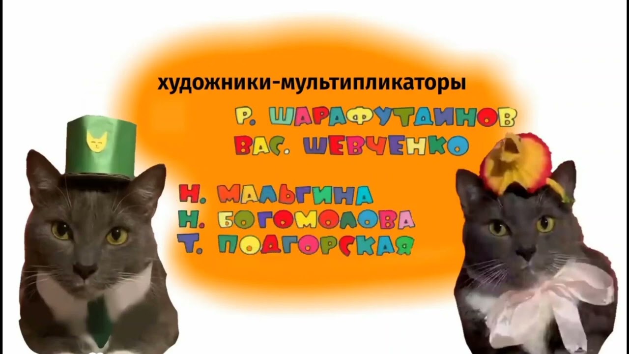 Канал котинет
