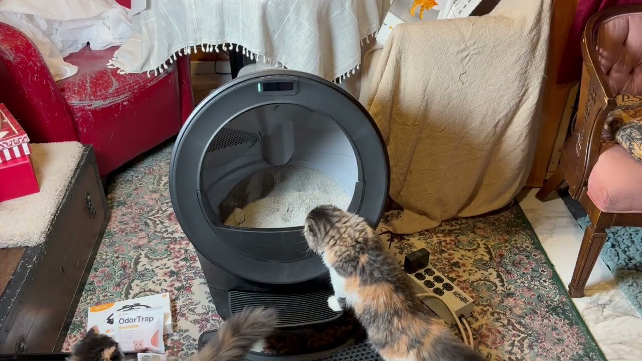 Litter Robot 5 PRO first time user
