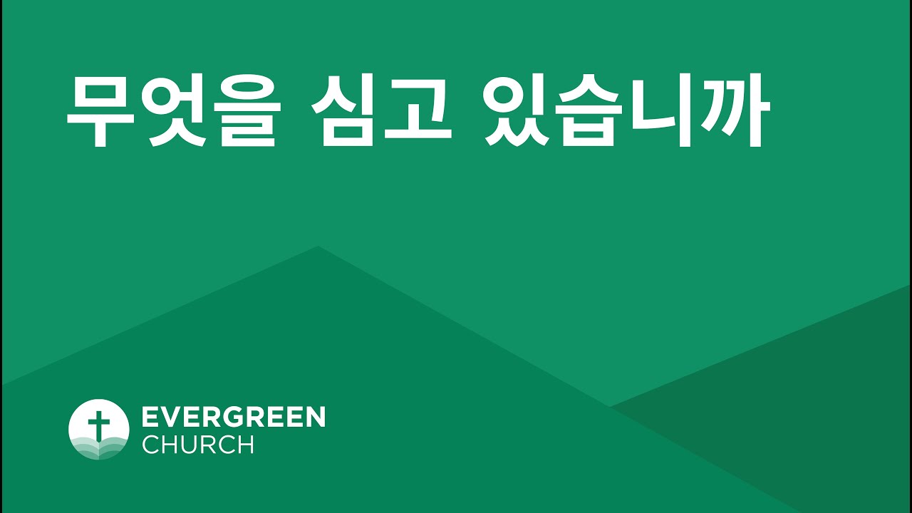 05/30/2021 | 무엇을 심고 있습니까 | 박진도 목사