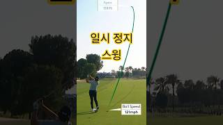 일시 정지 스윙의 달인  캐머런 영  (카메론 영) Pause swing by Cameron Young