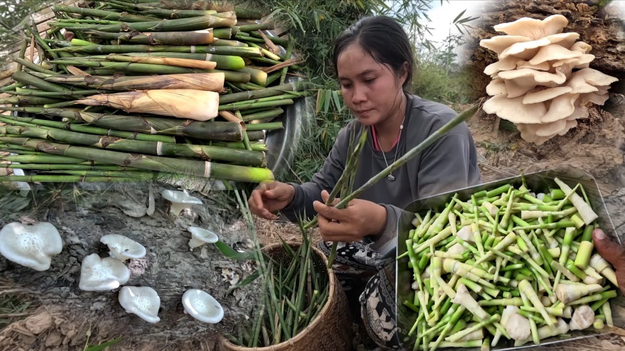 28 กุมภาพันธ์ ค.ศ. 2026