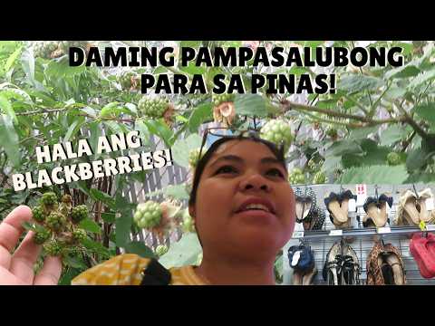 BUHAY AMERIKA ANDAMING PAMPASALUBONG SA PINAS! ANLAKI NA NG BLACKBERRIES