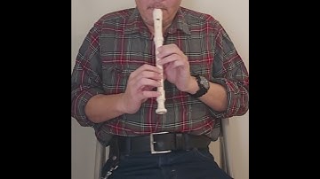 The wheels on the bus go round and round (on recorder)