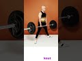 How To Do Modified Sumo Barbell Deadlift Workout | Deadlift | how to sumo deadlift | Barbell
