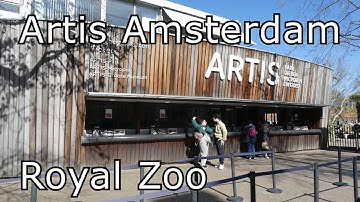 Artis Amsterdam Royal Zoo