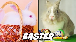 10 FACTS ABOUT EASTER