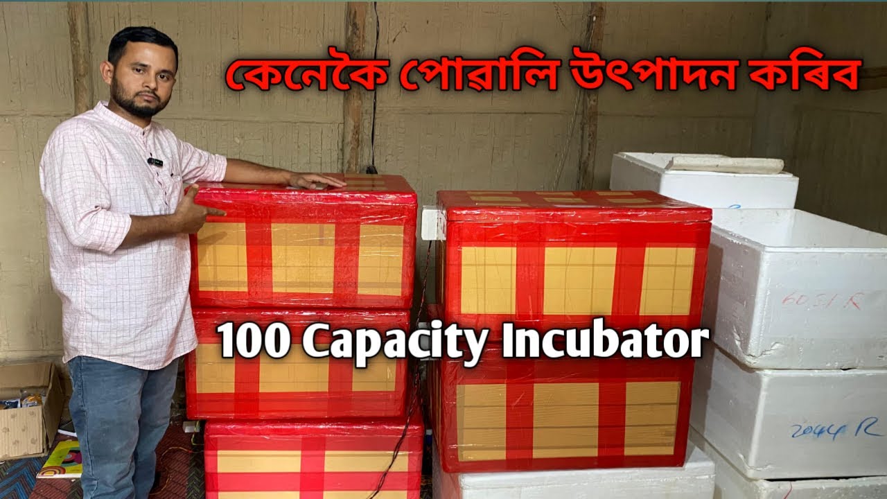 🔴সৰু ইনকিউবেটৰ মেছিনৰ পৰা কেনেকৈ পোৱালি উৎপাদন কৰিব| Incubator |  Incubator Machine 