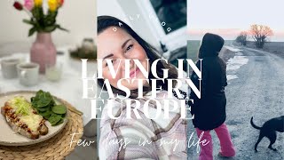 LIVING IN EASTERN EUROPE|VLOG|Recipe for nacional czech meal, walk in nature, what i eat in a day...