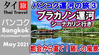 プラカノン運河(バンコクの街中からすぐ!田舎風景で癒しを)シーナカリン行き 4K -116 プラカノン運河(バンコクの街中からすぐ!田舎風景で癒しを)シーナカリン行き 4K -116