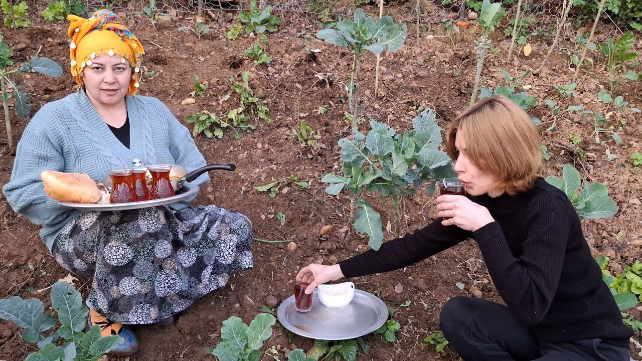 ALLAH RAZI OLSUN CÜMLESİNDEN🤲🤲BAHÇEDE LAHANALARI SÖKTÜM FİDELEME PAZI maydanoz‼️