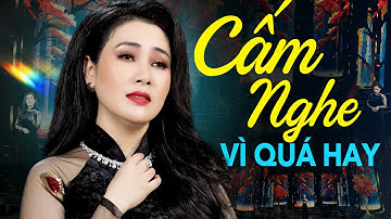 BÀI HÁT BỊ CẤM BIỂU DIỄN Vì HAY QUÁ MỨC - DIỄM THÙY Bolero Tuyển Chọn Hay Nhất - Đường Trần Lá Đổ