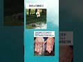 #залетиврек #залити #пустьзалетит