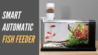 smart feeder for fish