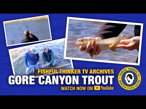 Video: Colorado Canyon: Paglalarawan