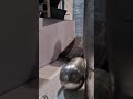 Strong welds for tough industrial applications