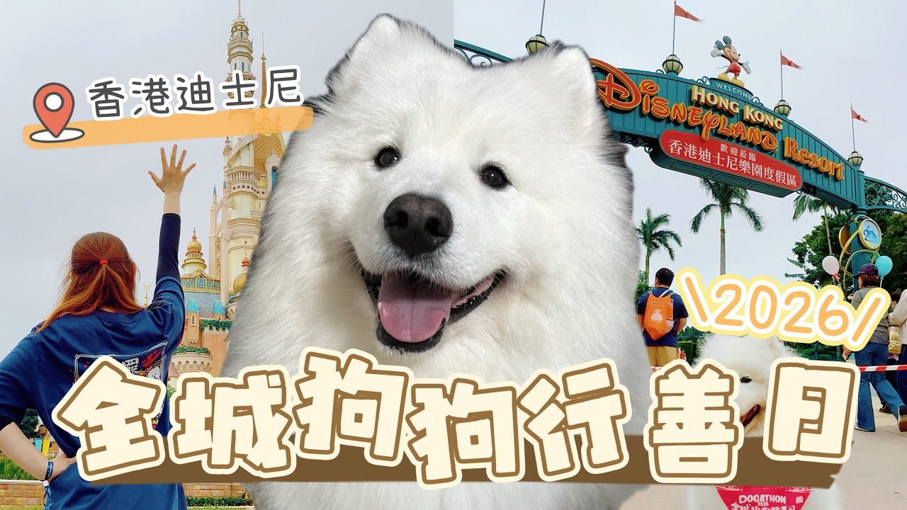 【我的養狗日記】Tako一家天未光就要起身！三歲妹妹瞓住被抱上車，最後仲入埋迪士尼樂園玩｜西摩Tako