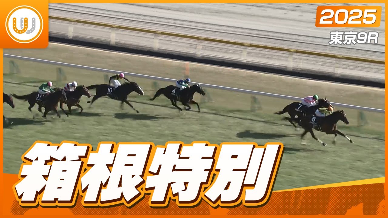 ノリタケ　競走馬跳馬 show_photo.php?horse_id=