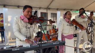 Tus desprecios (Pepe Aguilar y el fantasma) con el Juvenil Matehuala en vivo