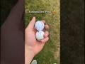 Kirkland vs ProV1: Golf Ball Showdown ⛳