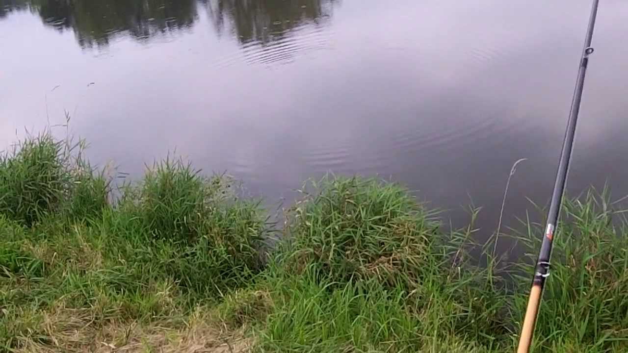 Fishing the JP Hammer Shad!