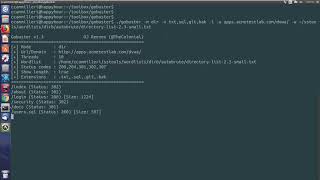How to directory brute with gobuster
